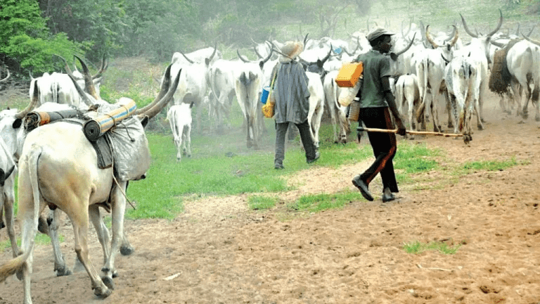 Herdsmen-13-11-16-1024x576-1-768x432