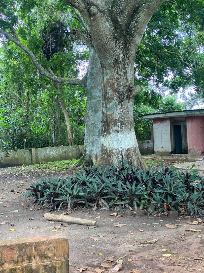 Ile Odua